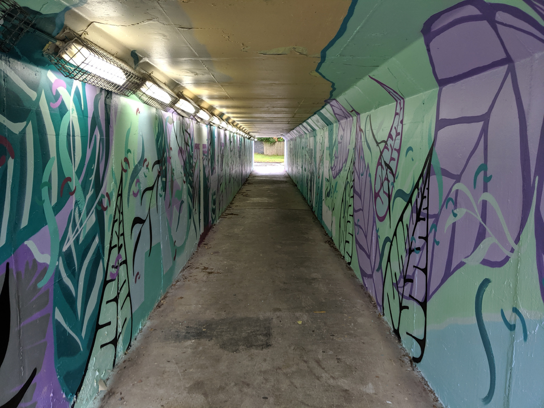 Youth Artists
